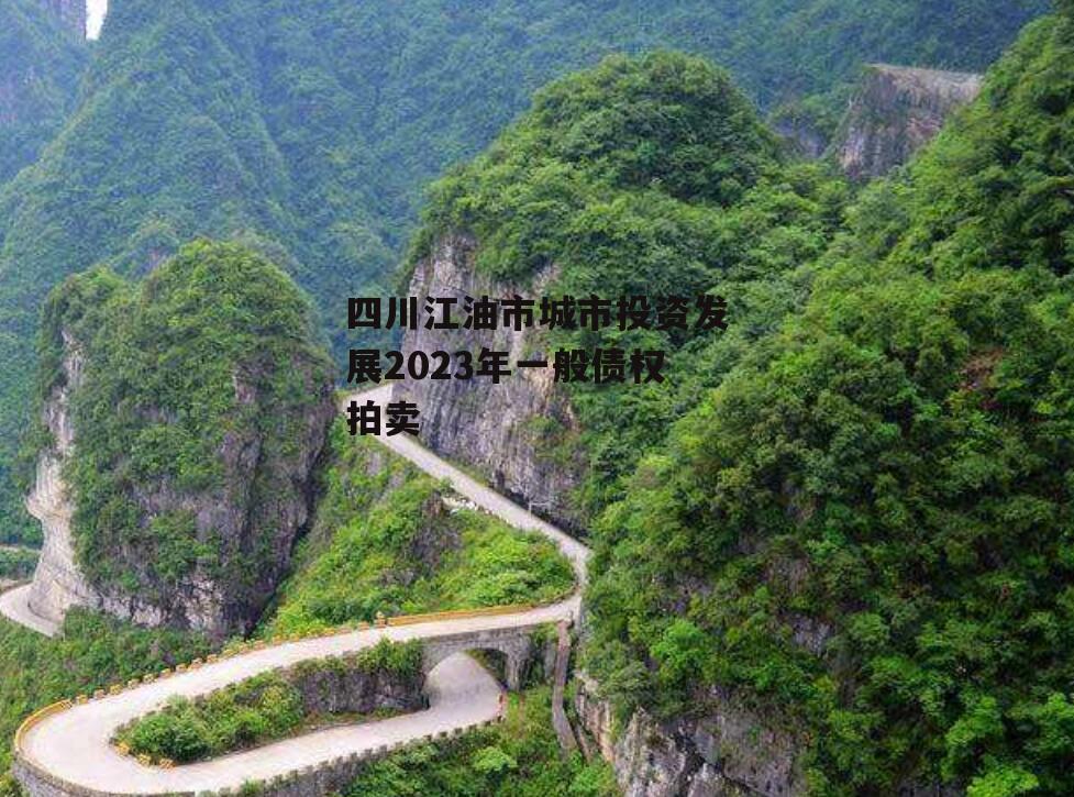 四川江油市城市投资发展2023年一般债权拍卖