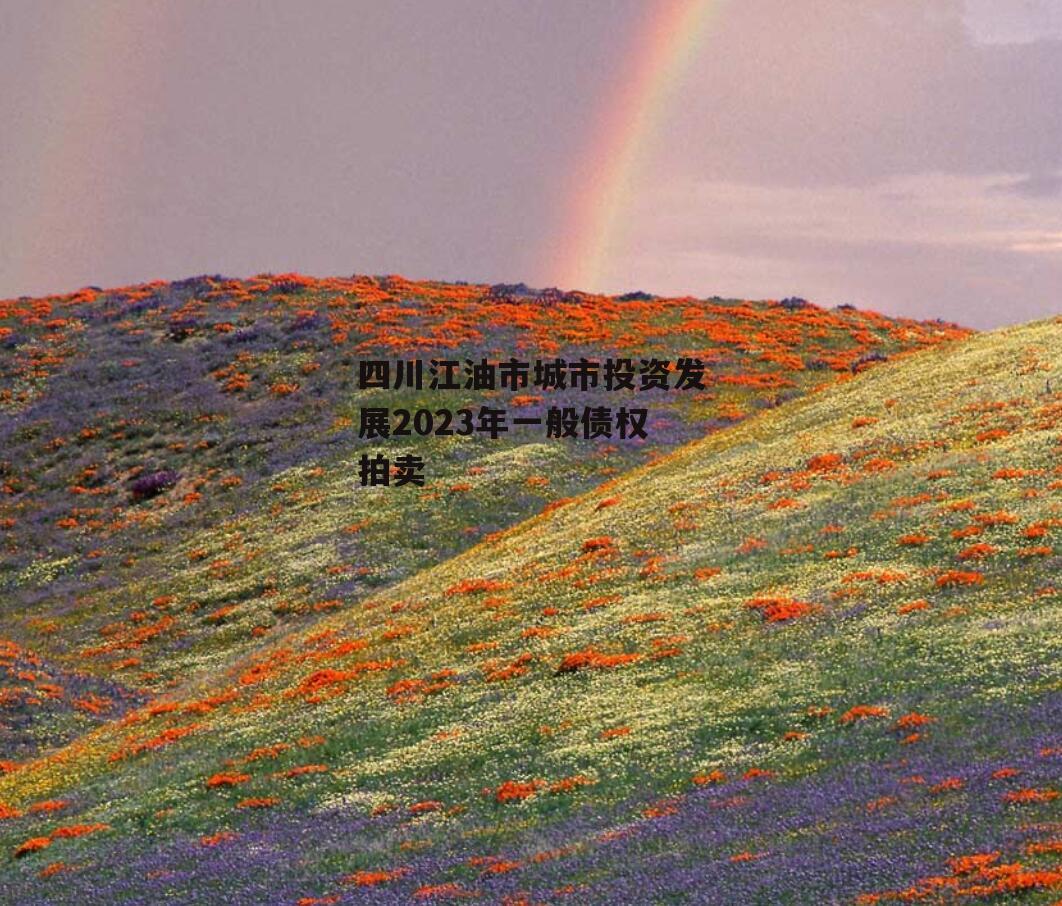四川江油市城市投资发展2023年一般债权拍卖