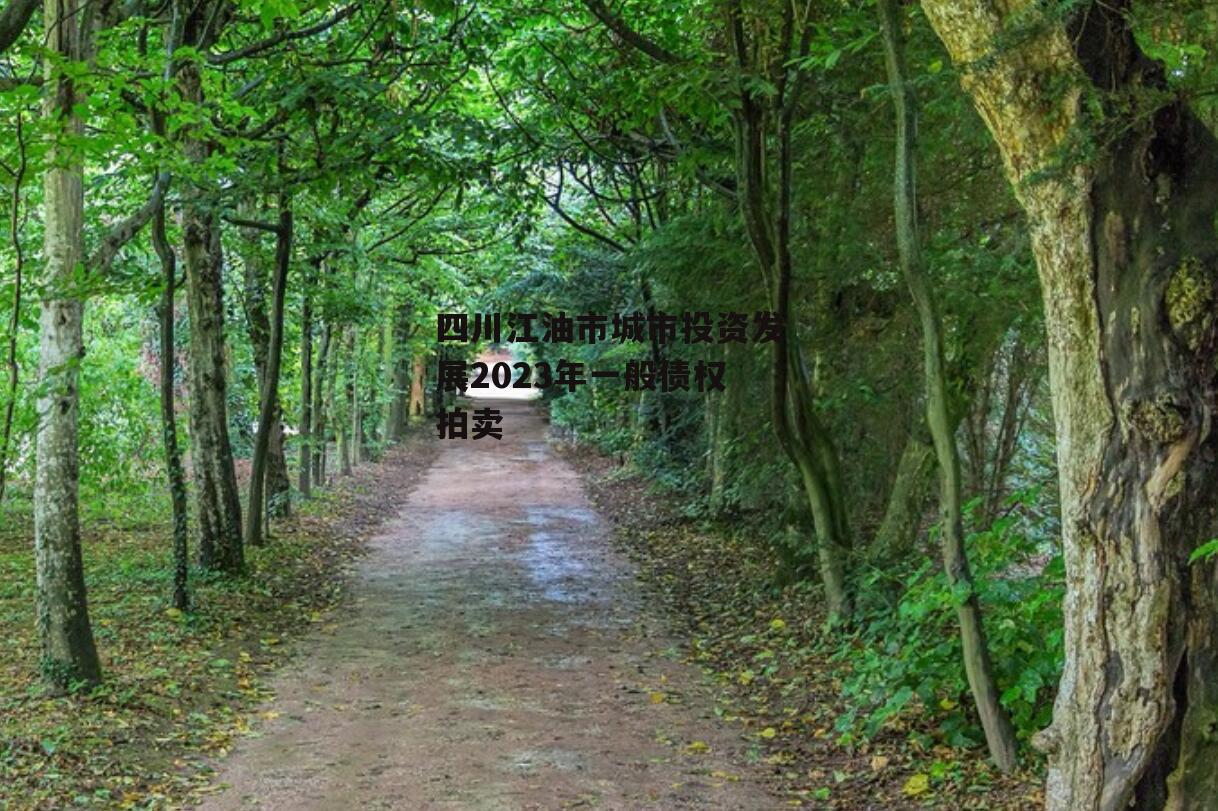四川江油市城市投资发展2023年一般债权拍卖