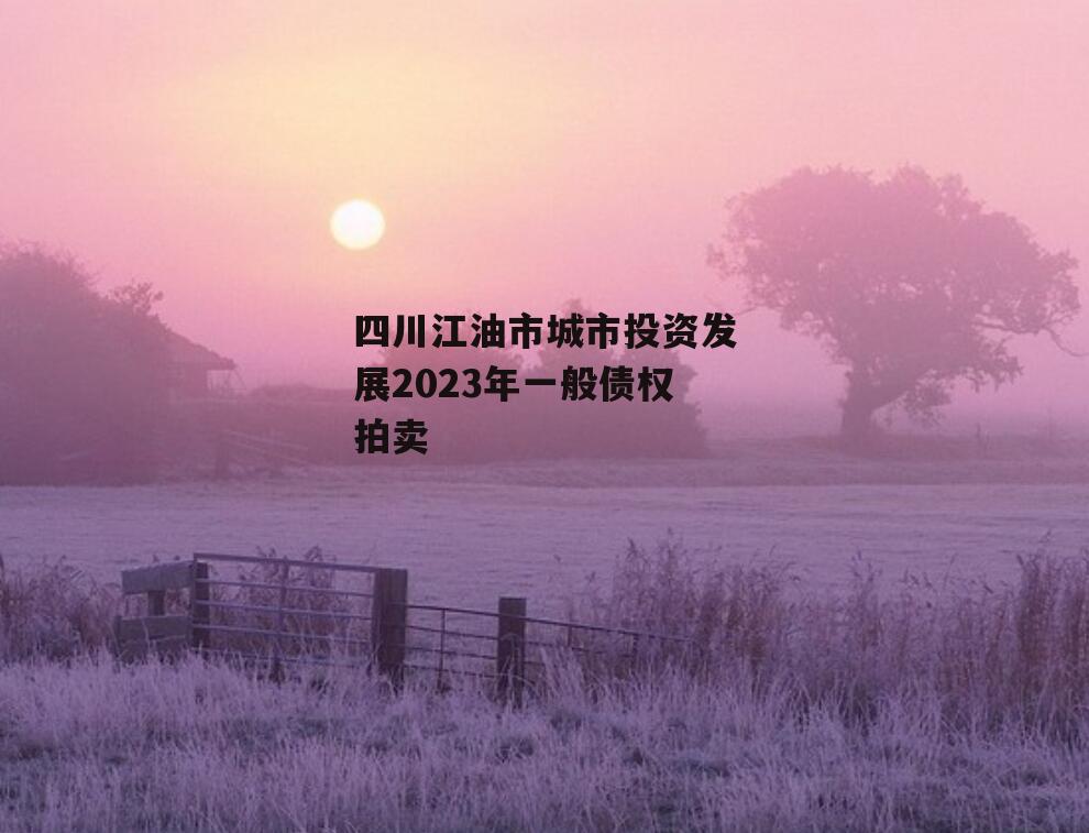 四川江油市城市投资发展2023年一般债权拍卖