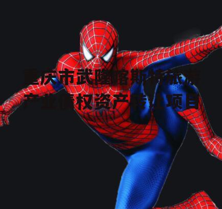 重庆市武隆喀斯特旅游产业债权资产转让项目
