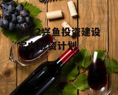 2022兴鱼投资建设定向融资计划