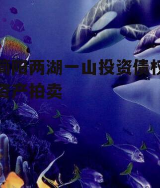 简阳两湖一山投资债权资产拍卖