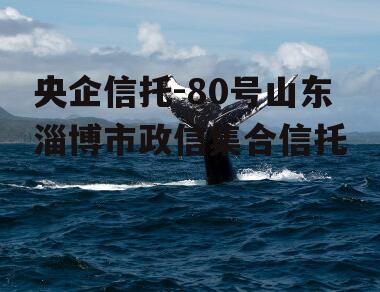 央企信托-80号山东淄博市政信集合信托