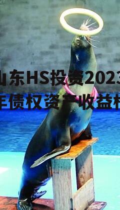 山东HS投资2023年债权资产收益权