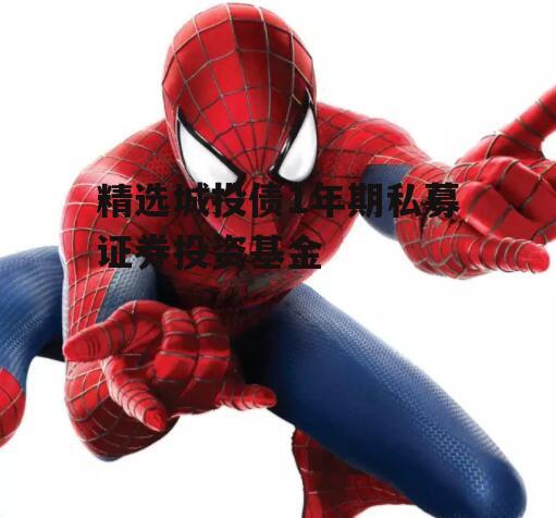 精选城投债1年期私募证券投资基金