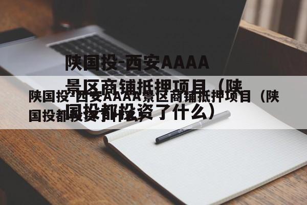 陕国投-西安AAAA景区商铺抵押项目（陕国投都投资了什么）