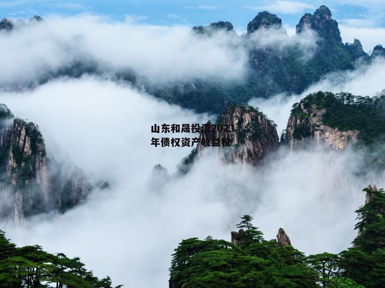 山东和晟投资2023年债权资产收益权