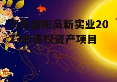 河南洛阳高新实业2023年债权资产项目
