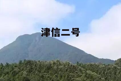 津信二号