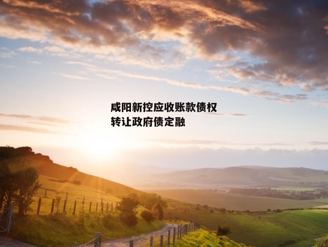 咸阳新控应收账款债权转让政府债定融
