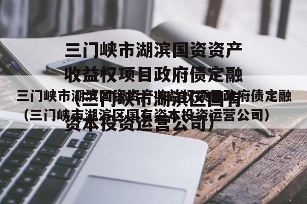 三门峡市湖滨国资资产收益权项目政府债定融（三门峡市湖滨区国有资本投资运营公司）