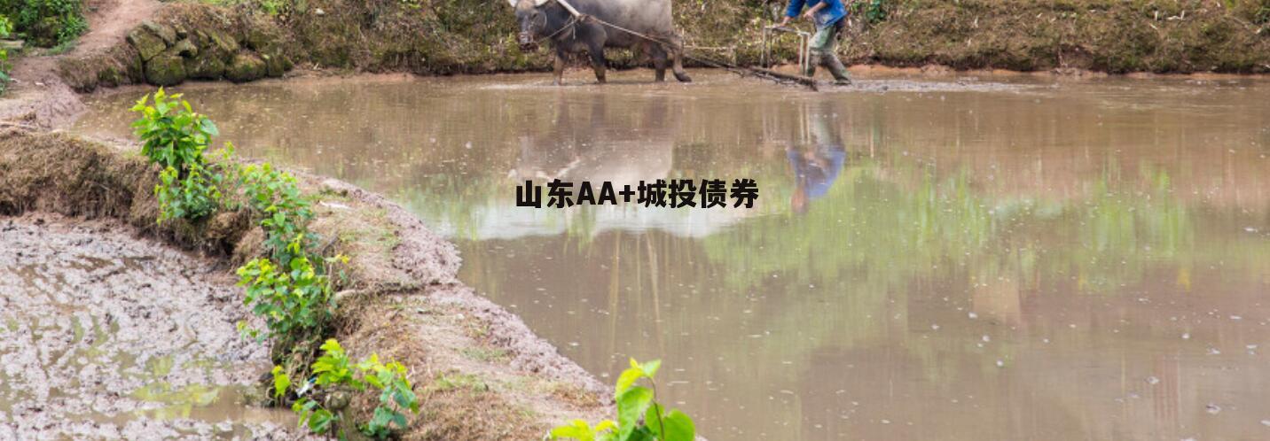 山东AA+城投债券