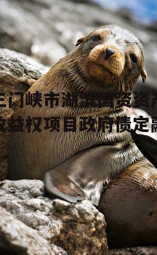 三门峡市湖滨国资资产收益权项目政府债定融