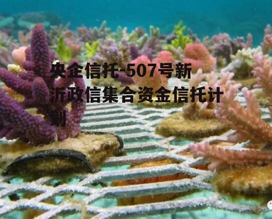 央企信托-507号新沂政信集合资金信托计划