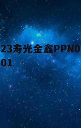 23寿光金鑫PPN001