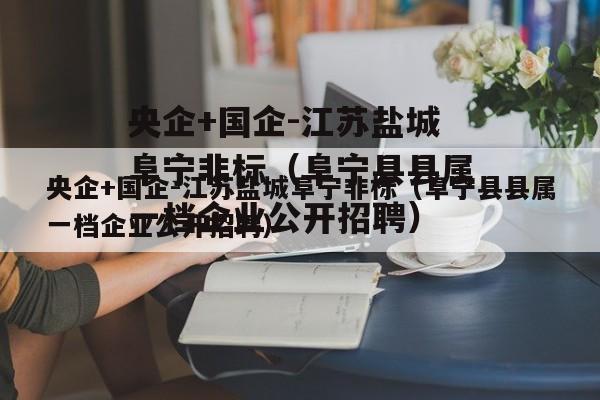 央企+国企-江苏盐城阜宁非标（阜宁县县属一档企业公开招聘）