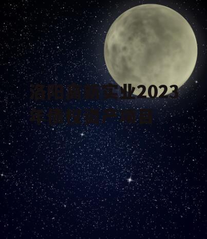 洛阳高新实业2023年债权资产项目