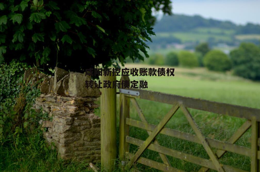 咸阳新控应收账款债权转让政府债定融