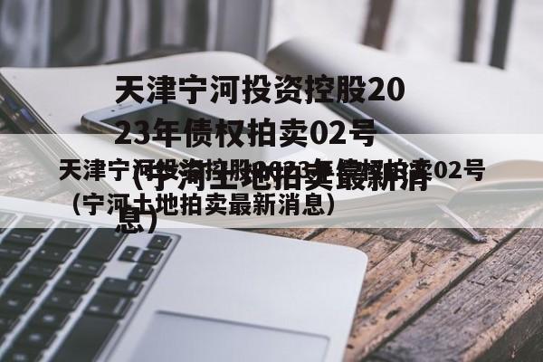 天津宁河投资控股2023年债权拍卖02号（宁河土地拍卖最新消息）