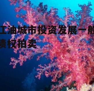 江油城市投资发展一般债权拍卖