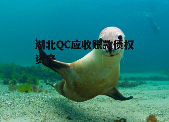 湖北QC应收账款债权资产