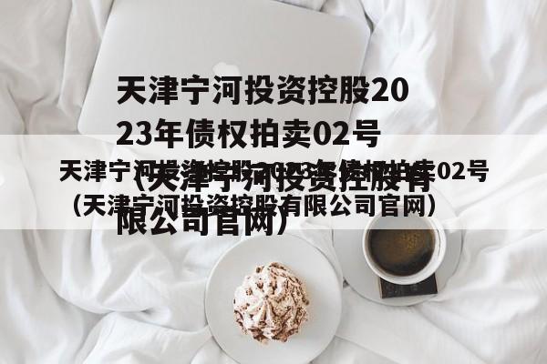天津宁河投资控股2023年债权拍卖02号（天津宁河投资控股有限公司官网）