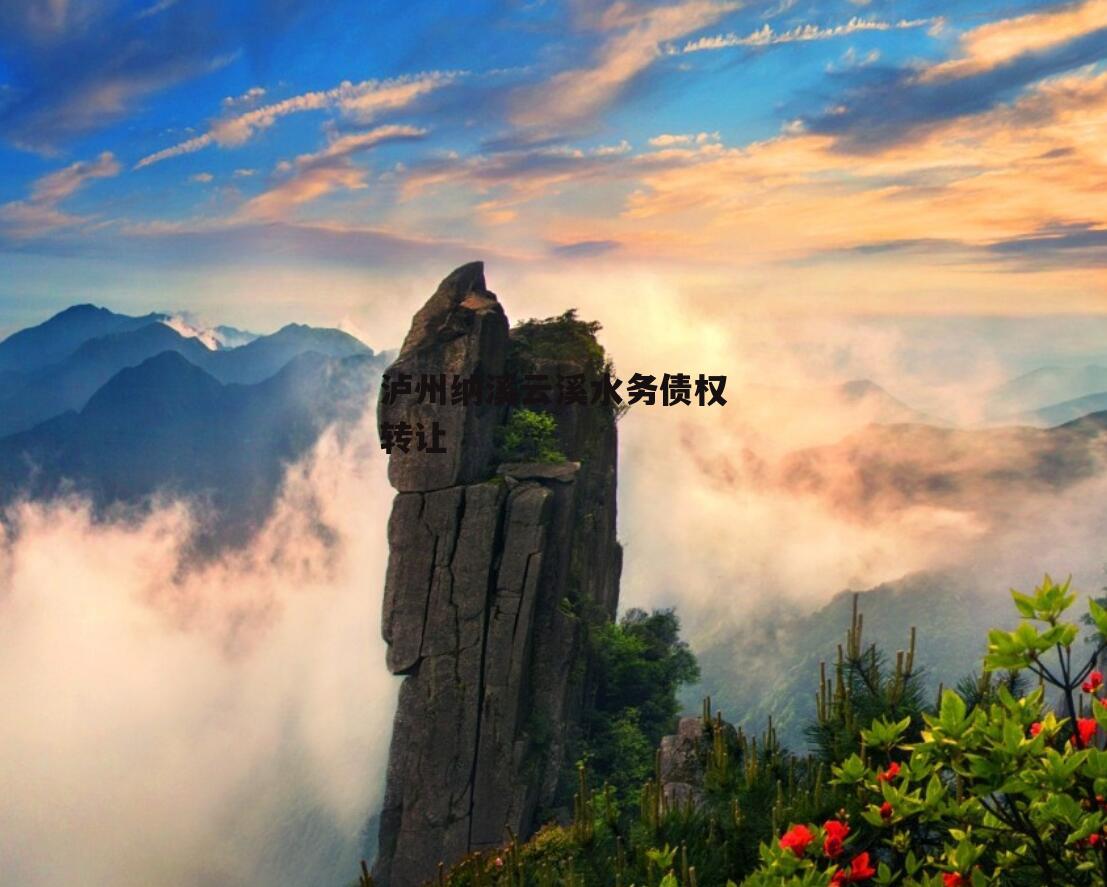 泸州纳溪云溪水务债权转让