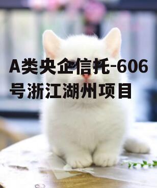 A类央企信托-606号浙江湖州项目