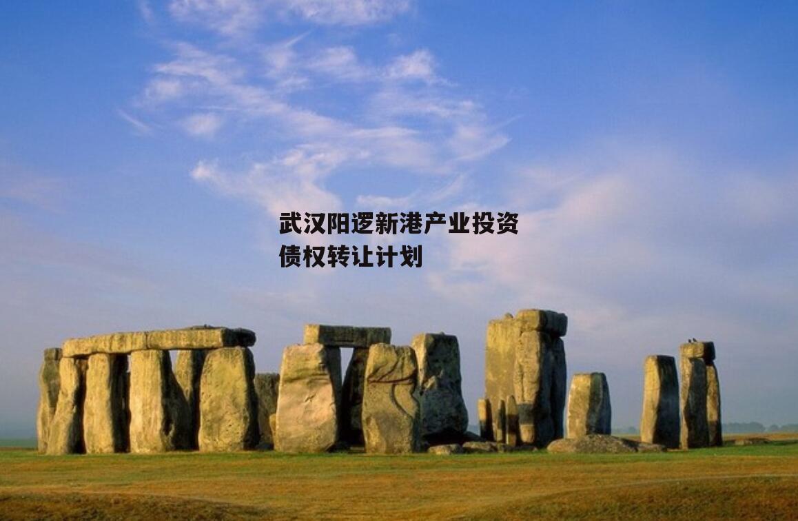 武汉阳逻新港产业投资债权转让计划