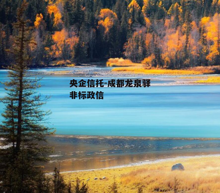 央企信托-成都龙泉驿非标政信