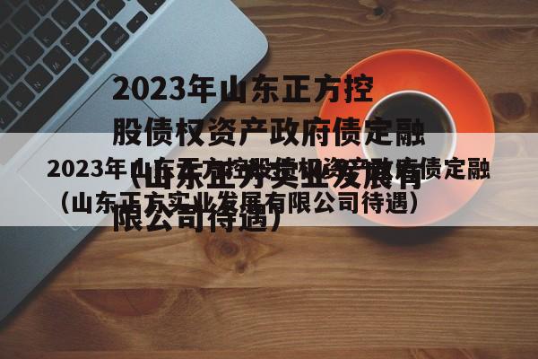 2023年山东正方控股债权资产政府债定融（山东正方实业发展有限公司待遇）
