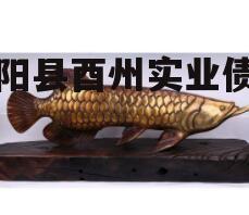 酉阳县酉州实业债权