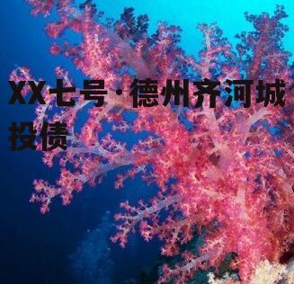 XX七号·德州齐河城投债
