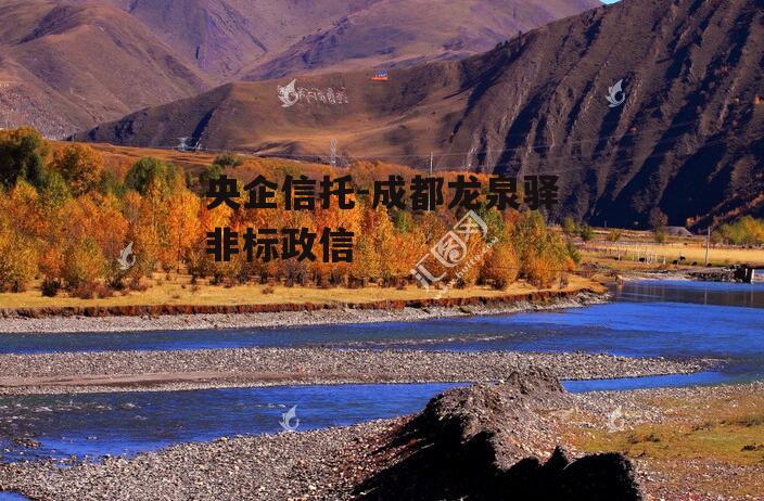 央企信托-成都龙泉驿非标政信