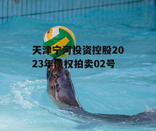 天津宁河投资控股2023年债权拍卖02号