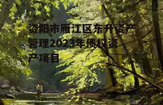 资阳市雁江区东升资产管理2023年债权资产项目
