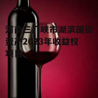河南三门峡市湖滨国资资产2023年收益权项目