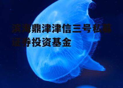 滨海鼎津津信三号私募证券投资基金