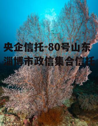 央企信托-80号山东淄博市政信集合信托