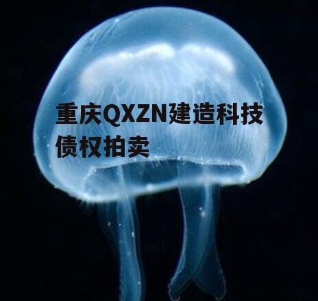 重庆QXZN建造科技债权拍卖