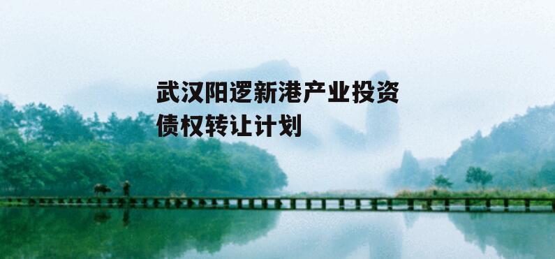武汉阳逻新港产业投资债权转让计划