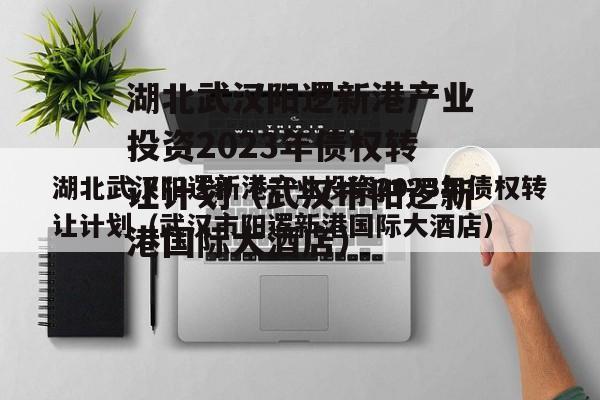湖北武汉阳逻新港产业投资2023年债权转让计划（武汉市阳逻新港国际大酒店）