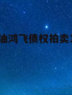 江油鸿飞债权拍卖1号