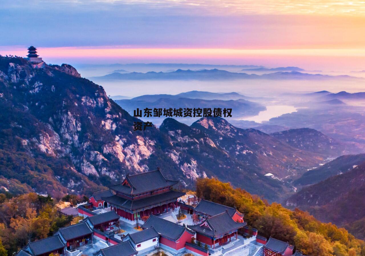 山东邹城城资控股债权资产
