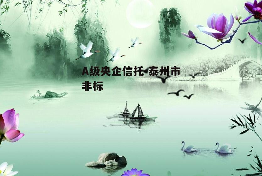 A级央企信托-泰州市非标
