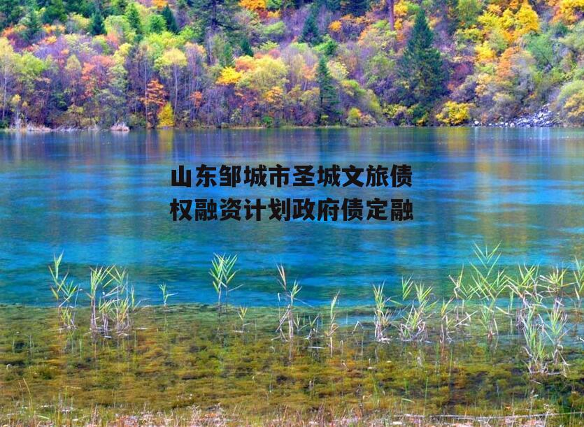 山东邹城市圣城文旅债权融资计划政府债定融