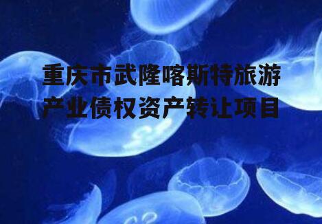 重庆市武隆喀斯特旅游产业债权资产转让项目