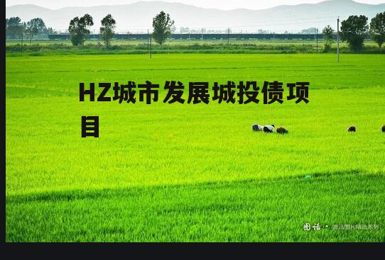 HZ城市发展城投债项目