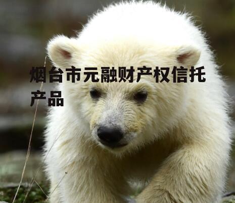 烟台市元融财产权信托产品